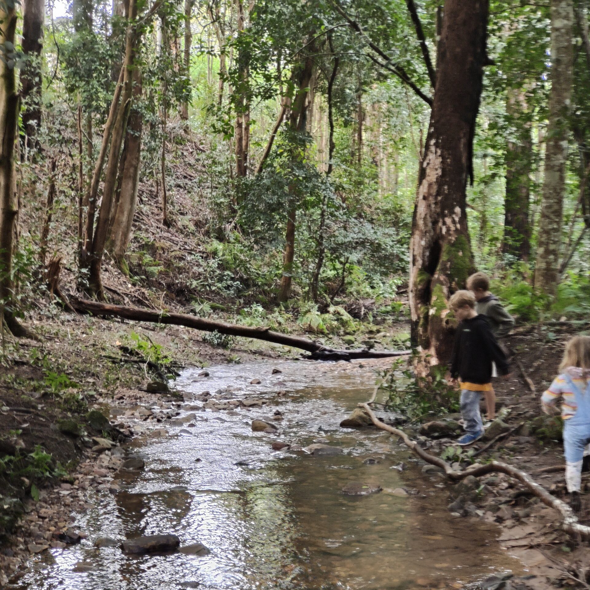 IMG20250705123713 scaled e1756534707767